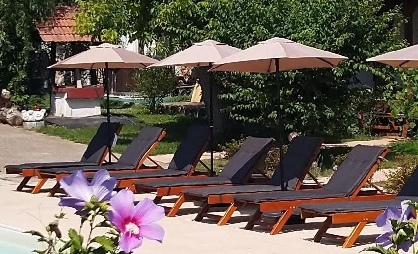 Remser Haus Zalakaros Zewnętrze zdjęcie