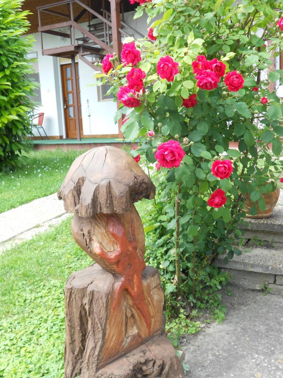 Remser Haus Zalakaros Zewnętrze zdjęcie
